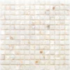 Del Ray 0.8X0.8 Polished Shell Mosaic 0