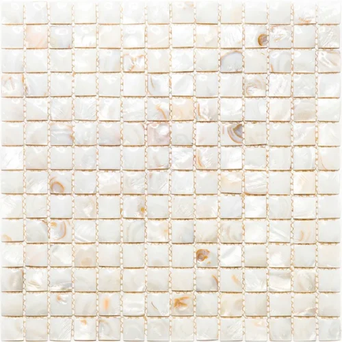 Del Ray 0.8X0.8 Polished Shell Mosaic 0