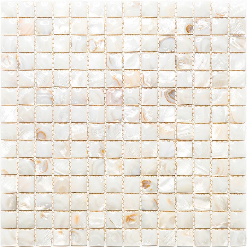 Del Ray 0.8X0.8 Polished Shell Mosaic 0