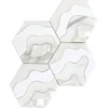 Storm White 9X12 Polished Thassos, Paper White, Calacatta Gold, Shell Tile 0