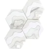 Storm White 9X12 Polished Thassos, Paper White, Calacatta Gold, Shell Tile 1