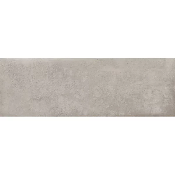 Stargaze Grey 10X30 9.8X29.5” Matte Ceramic Tile 1