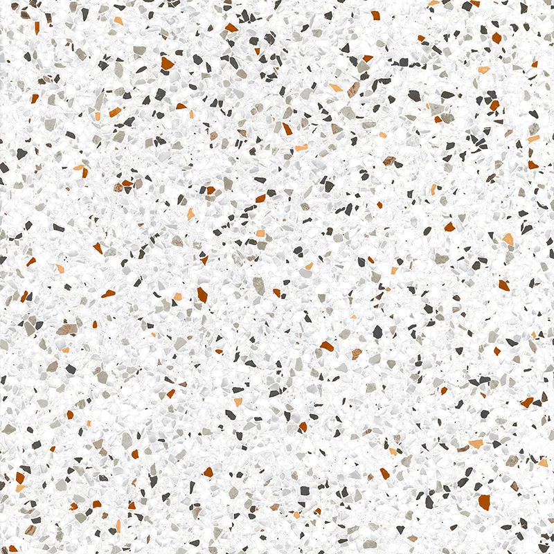 Terra Multicolor Speckled 24X24 23.94X23.94 Matte Porcelain tile 2