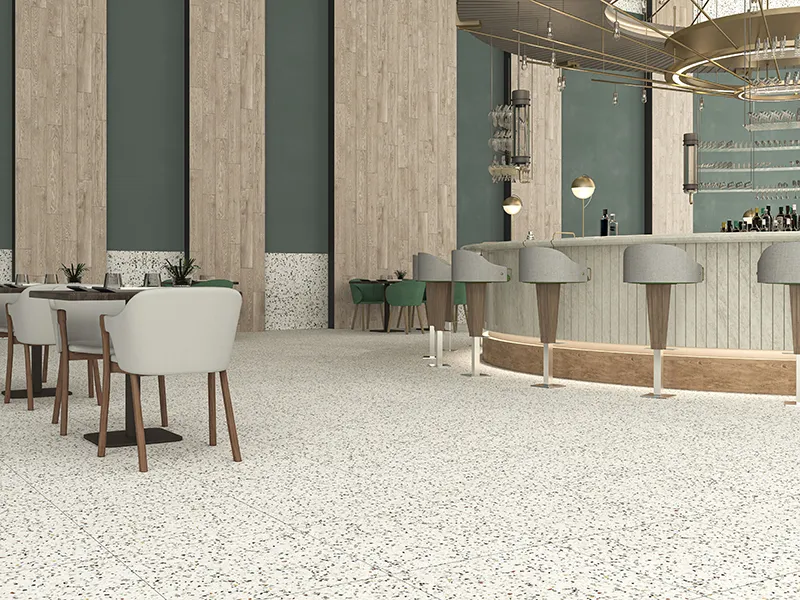 Terra Multicolor Speckled 24X24 23.94X23.94 Matte Porcelain tile 6