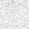 Terra Pepper Speckled 24X24 23.94X23.94 Matte Porcelain tile 2