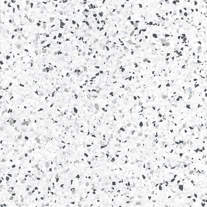 Terra Pepper Speckled 24X24 23.94X23.94 Matte Porcelain tile 2