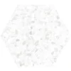 Terra White Speckled 8.1X9.25 Matte Porcelain mosaic 4