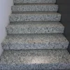 Terrazzo Green 24X24 Honed Tile 1