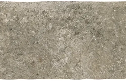 Abbey Stone M Cluney 4.3X8.6 Rectangle Matt Porcelain Tile