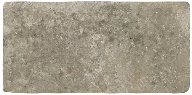 Abbey Stone M Cluney 4.3X8.6 Rectangle Matt Porcelain Tile