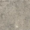 Abbey Stone Xl Cluny 8.6X17.2 Rectangle Matt Porcelain Tile 1