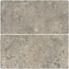 Abbey Stone Xl Cluny 8.6X17.2 Rectangle Matt Porcelain Tile 0