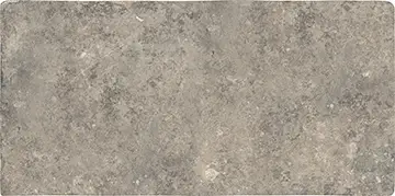 Abbey Stone Xl Cluney 8.6X17.2 Rectangle R11 Non-Slip Porcelain Tile 1