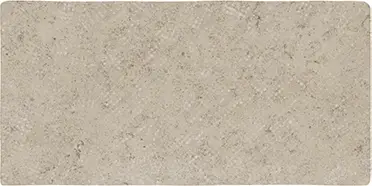 Abbey Stone Xl Rila 8.6X17.2 Rectangle Matt Porcelain Tile 1