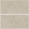 Abbey Stone Xl Rila 8.6X17.2 Rectangle Matt Porcelain Tile 0