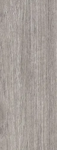 Contempo Strip Ash 4X20 Rectangle Matt Porcelain Tile 0