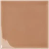 Edge Toffee 0.3X5 Rectangle Gloss Porcelain Trim 9