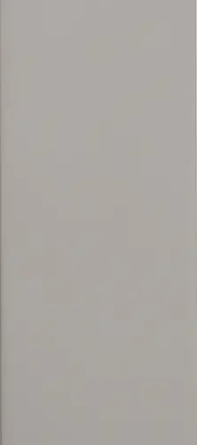 Grace O Matt Grey 3X12 Rectangle Porcelain Tile 0