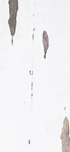 Handmade Decor Vintage White 3X12 Rectangle Gloss Porcelain Tile 0