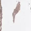 Handmade Decor Vintage White 3X12 Rectangle Gloss Porcelain Tile 2