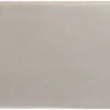 Rebels Grey 2X6 Rectangle Gloss Porcelain Tile 0