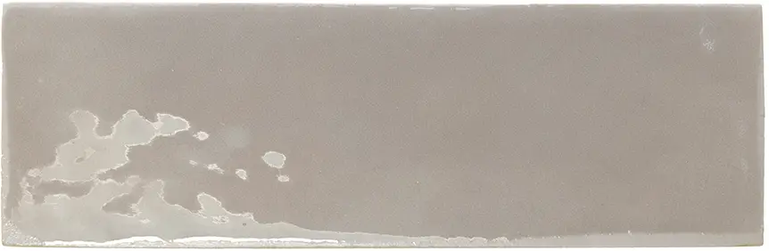 Rebels Grey 2X6 Rectangle Gloss Porcelain Tile 1