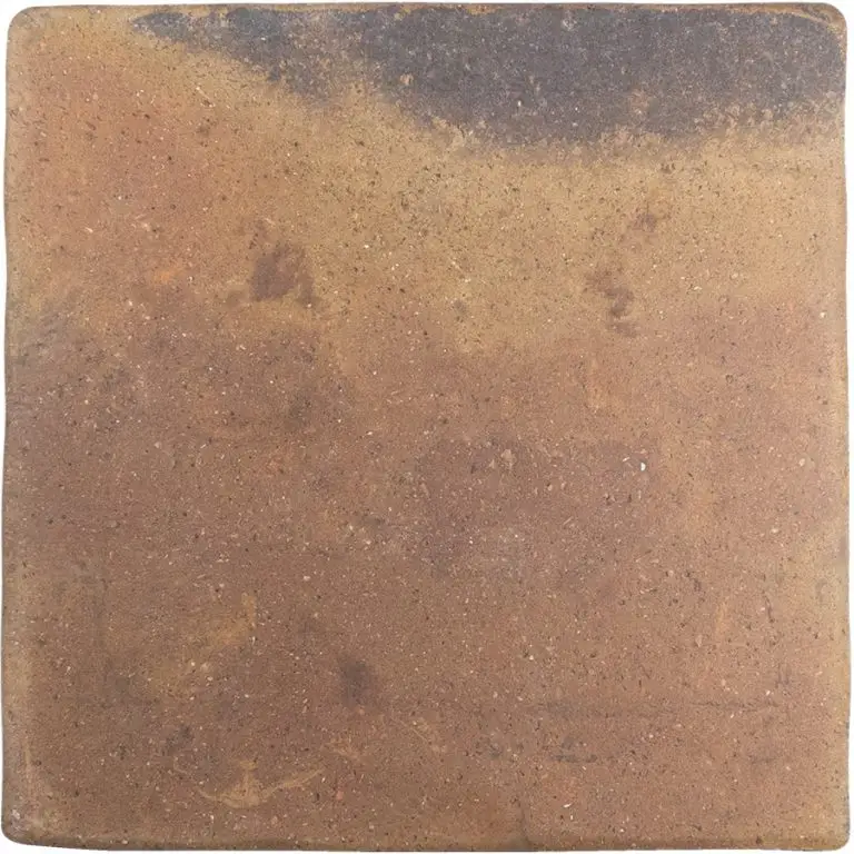 Roots L Rust 8.6X8.6 Square Matt Porcelain Tile 2