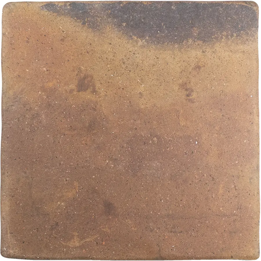 Roots L Rust 8.6X8.6 Square R11 Non-Slip Porcelain Tile 1