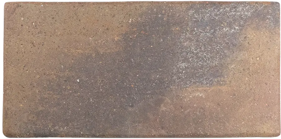 Roots M Rust 4.3X8.6 Rectangle Matt Porcelain Tile 0