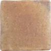 Roots S Rust 4.3X4.3 Square R11 Porcelain Tile 2