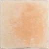 Roots S Sand 4.3X4.3 Square R11 Porcelain Tile 6