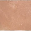 Roots Xl Cotto 8.6X17.2 Rectangle R11 Non-Slip Porcelain Tile 1