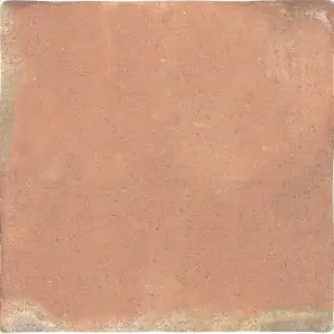 Roots Xxl Cotto 17.2X17.2 Square Matt Porcelain Tile 6