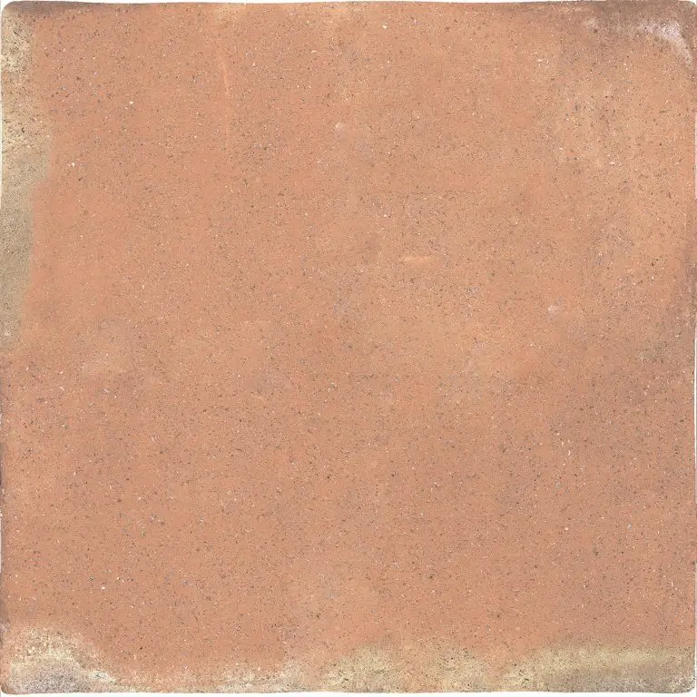 Roots Xxl Cotto 17.2X17.2 Square R11 Porcelain Tile 2