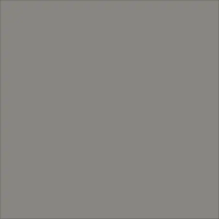 Solid S Ash 2.5X5 Rectangle Matt Porcelain Tile 1