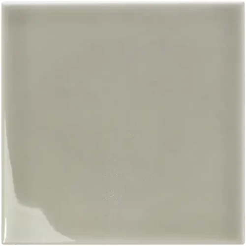 Twister T Mint Grey 5X5 Square Gloss Porcelain Tile 0