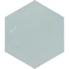 Zellige Hexa Aqua 4X5 Hexagon Gloss Porcelain Tile 9